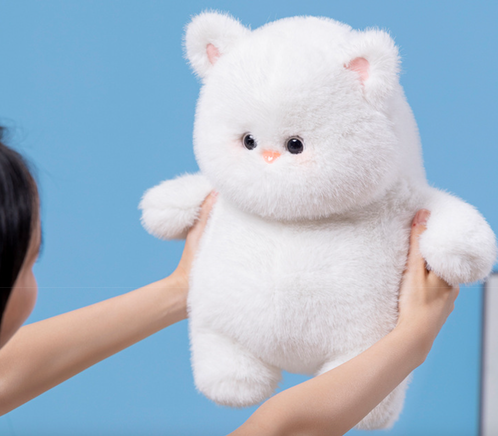 Chubby Snowball Kitten Plush