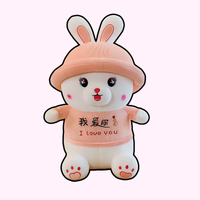 omgkawaii Stuffed Animals Pink / 50 CM Cute Bunny Plush with I Love You Message