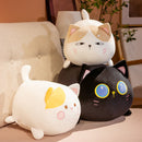 omgkawaii The Ultimate Cute Kittens Plushies Collection